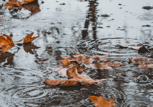 Veille météorologique : précipitations abondantes à prévoir